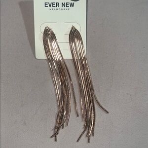 Ever New Metallic Fringe Earrings